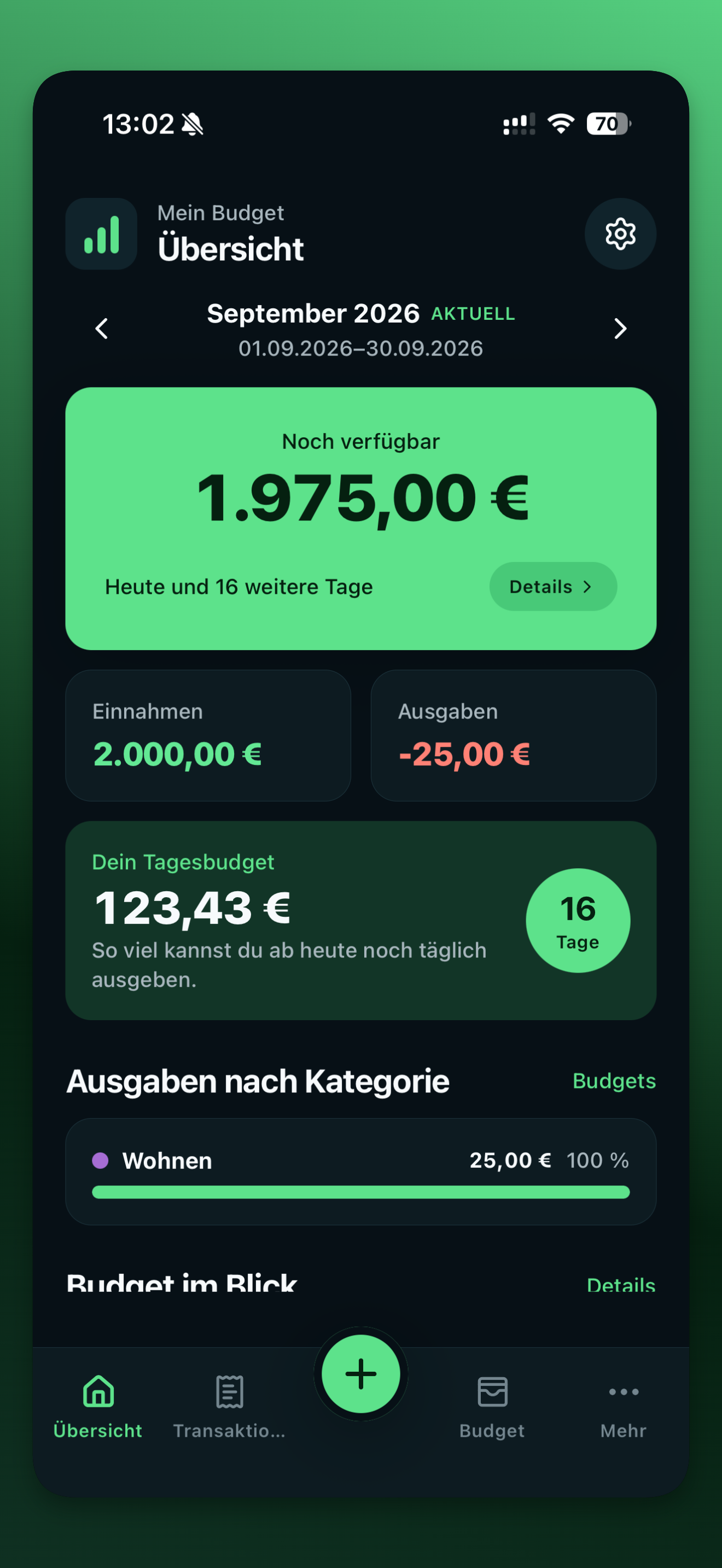 Budget overview on a phone screen